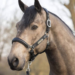 Cabestros de polo de cuero con diseño duradero para un manejo seguro, control estable y uso ecuestre profesional. - Product Image 2