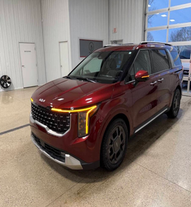 KIA Carnival SX Usado 2025 - Product Image 6