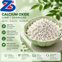 Granulés d'oxyde de calcium (CaO) à haute activité pour le traitement de l'eau et la désulfuration des gaz de combustion