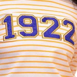 1922 ซิกมาแกมมาโรเสื้อสเวตเตอร์ลายทางสีขาวทองผู้หญิงกรีกโซโรริตี้คอกลมสไตล์ลำลองแสนสบาย - Product Image 2