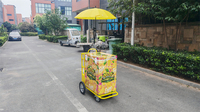 Chariot de présentation mobile pour glaces congelées, remorque-chariot à pousser pour usage commercial