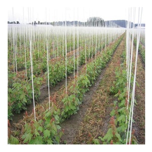 Strong and Durable Fiberglass <b>Rods</b> for Vegetable Greenhouses - Product Image 6
