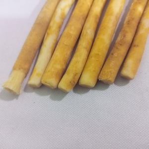 แปรงสีฟันธรรมชาติสำหรับดูแลช่องปาก PEELU MISWAK จากไม้ซัลวาดอร่า เปอร์ซิกา, แปรงสีฟันไม้ไผ่ย่อยสลายได้เป็นมิตรกับสิ่งแวดล้อม แบรนด์ส่วนตัว - Product Image 4