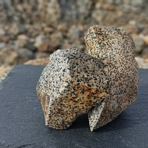Piedra Natural de Jaspe Dálmata en Bruto, Gema Curativa, Espécimen Mineral para Reiki, Meditación, Decoración del Hogar y Colección - Product Image 1