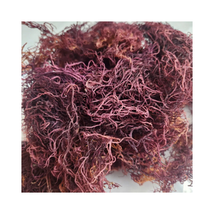 Algues marines Eucheuma Cottonii de qualité supérieure, algues marines séchées naturelles pour la transformation alimentaire, approvisionnement à l'exportation - Product Image 4
