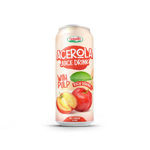 Boisson de jus de fruits du dragon rouge en conserve de 490ml de NAWON purée de jus de fruits et légumes HALAL Vietnam fabricant de boissons OEM/ODM - Product Image 2