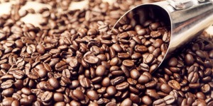 USDA & ISO Certified Organic Robusta Roasted and Ground Coffee, Vietnam Supplier, Top Grade, Crop New Season - Product Image 2