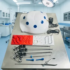 <b>Laparoscopic</b> Abdomen Shape Endo Trainer With Basic <b>Training</b> <b>Instruments</b> Set High Quality Reusable Surgical <b>Instruments</b> - Product Image 6