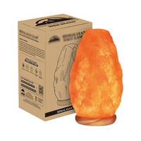 Lampe de sel, humidificateur d'air, lumières nocturnes à intensité variable, cristal de l'Himalaya sculpté à la main, décoration naturelle pour la maison, LED personnalisée, taille sur mesure