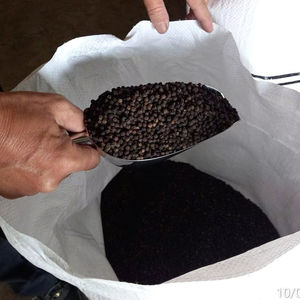 Pimienta Negra de Vietnam, Nueva Cosecha 2026, Cruda, Seca, Calidad Premium, Mejor Precio, Lista para Entrega - Product Image 4