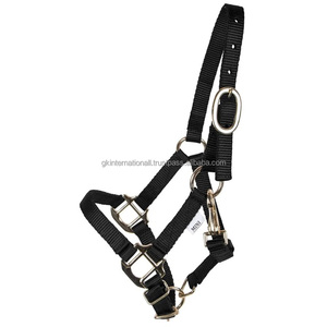 Wholesale Customize Horse Halters High Quality Handy Halter for Horses Equine Head Collar 100% Nylon Webbing Durable Halter - Product Image 3