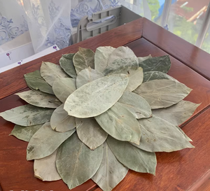 Sun-Dried Vietnamese Soursop Leaves Black <b>Tea</b> Finest Quality Organic Health Non-Sugar <b>Tea</b> Bags 25 <b>Tea</b> Bags/<b>Box</b> Bulk Packaging - Product Image 3