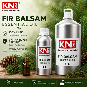 Aceite Esencial de Abeto Balsámico 100% Puro y Fresco, Certificado HALAL, Proveedor Directo de Fábrica, Fabricante a Granel, Abies Balsamea Global - Product Image 2
