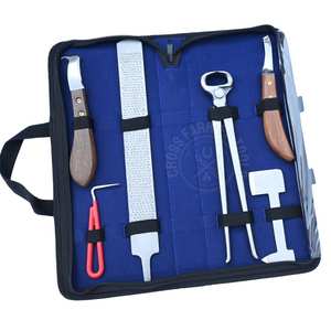 Farrier <b>Tool</b> Kit Dual Side Rasp Wooden Handle Hoof Knife Detachable Loop Blade and Sharpe Buffer Cutter Stainless Steel - Product Image 1