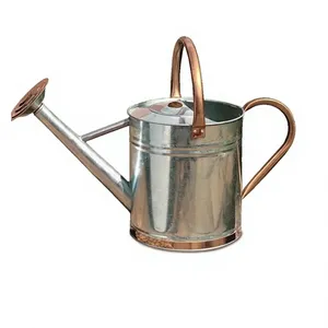 Arrosoir artisanal de style moderne Axiom Home Accents pour plantes d'intérieur et jardinage – Vente en gros de produits horticoles faits à la main - Product Image 1