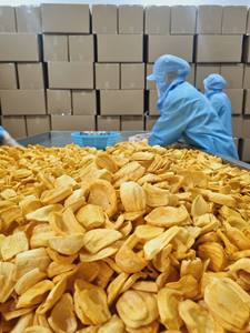 Chips de Jackfruit Bio Direct Usine du Vietnam – Snack de Fruits Séchés Frais et Croustillants – Sain, en Vrac, Fournisseur OEM, Exportation - Product Image 2