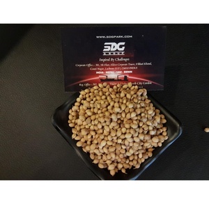 Especias de cilantro secas de alta calidad de águila seca, proveedor mayorista de productos agrícolas, buen precio, cilantro al por mayor - Product Image 4