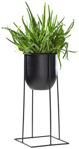 Grand pot de fleurs en métal noir avec support en fer, porte-fleurs moderne minimaliste pour plantes d'intérieur et d'extérieur, salon, chambre à coucher - Product Image 2