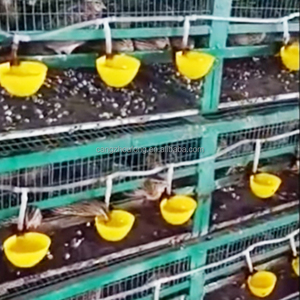 YYB LM38 plastica uccello potabile fontana Broiler gallina allevamento pollo quaglia acqua ciotola <span class=keywords><strong>per</strong></span> gabbia - Product Image 1