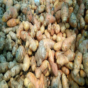 Rhizomes de curcuma indien de qualité supérieure pour les marchés mondiaux des épices, distribution en gros d'ingrédients, approvisionnement en vrac et usage commercial - Product Image 6
