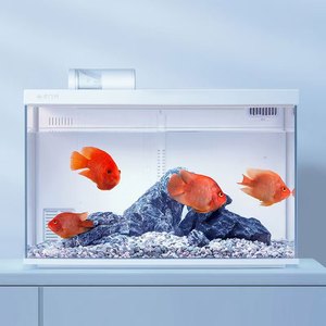 Akıllı Masaüstü Akvaryum Balık Tankı Otomatik Sirkülasyon Filtreli Entegre Ev Tipi Balık Tankı Oturma Odası İçin - Product Image 4