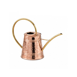 Elegant Hammered Iron Water <b>Cane</b> Hot Selling Metal Water <b>Cane</b> Home and <b>Garden</b> Decorative Easy Pour Watering Cans Spray - Product Image 4