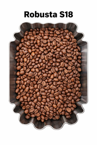 DHPONE Caffeinated Roasted <b>Coffee</b> Bean 100% Robusta Medium Roast Bitter Taste High Quality Lam Dong Vietnam 500g Use Phin <b>Filter</b> - Product Image 6