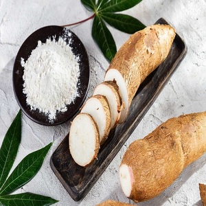 Almidón de Tapioca Confiable en Venta, Apto para Procesamiento de Alimentos, Repostería, Espesantes y Producción Industrial - Product Image 1