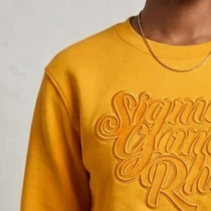 Pull court à col ras du cou Sigma Gamma Rho Gold on Gold en maille premium, sweat-shirt court tendance pour femme, style streetwear - Product Image 4
