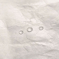 Papier Tyvek Lizheng Dupont A4, imperméable, jet d'encre, feuille Tyvek 1025D blanche, design personnalisé, haute qualité, rouleau de papier Tyvek Dupont