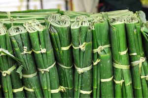 Feuilles de bananier naturelles pliées congelées en vrac, matériau d'emballage alimentaire traditionnel, exportateur fabricant du Vietnam - Product Image 5