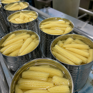 VERDURAS ENLATADAS DE PRIMERA CALIDAD, MAÍZ ENLATADO PARA DISTRIBUIDORES Y MAYORISTAS/ SEÑORA ALINA - Product Image 3