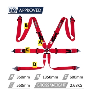 Cinturón de Seguridad de 6 Puntos TBRACING ECO-D con Certificación FIA 8853-2016 para Vehículos de Competición, Disponible en 16 Colores - Product Image 4