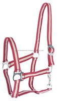 Équipement essentiel de licou de cheval de selle anglaise en nylon et PP de haute qualité pour l'équitation plusieurs couleurs disponibles
