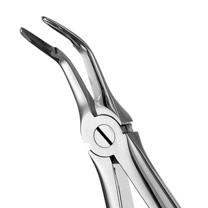 Forceps d'extraction dentaire à dents sécantes pour racines inférieures 46L, en acier inoxydable, instrument chirurgical pour l'élimination des racines, outil réutilisable pour la chirurgie buccale - Product Image 6