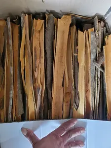 Palitos de Canela de Ceilán Premium - Listos para Usar, Sabor Suave, Dulce y Aromático - Product Image 4