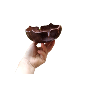 ชามเปลือกมะพร้าวทำมือจากเวียดนาม วัสดุธรรมชาติสำหรับเสิร์ฟอาหาร ขนมหวาน และตกแต่งโต๊ะอาหารสไตล์เรียบง่าย - Product Image 3