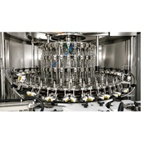 Machine industrielle de rinçage rotatif de bouteilles pour bouteilles en PET et en verre, et lignes de remplissage automatiques de boissons, fournisseur indien, à vendre
