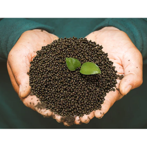 Fertilizante compuesto DAP NPK de alta eficiencia, soluble en agua, para la nutrición de cultivos en agricultura de precisión. - Product Image 6