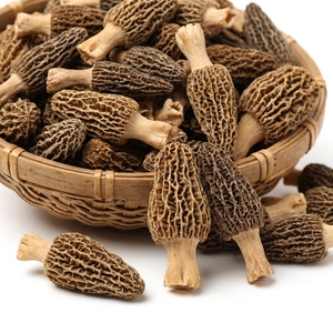 Hongos Morillas Silvestres Naturales Secos, Grado de Suministro para Restaurantes, para Preparación de Alimentos Gourmet, Ingrediente de Exportación a Granel de Alta Calidad - Product Image 5