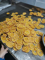 Irisan Jeruk Kering Grosir untuk Hiasan Koktail dan Dekorasi Rumah Buah Kering Berkelanjutan Pabrik Vietnam