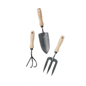Ensemble d'outils de jardin avec manches en bois, truelle, râteau et cultivateur en acier au carbone pour l'entretien des plantes, outils de jardin faits à la main - Product Image 1