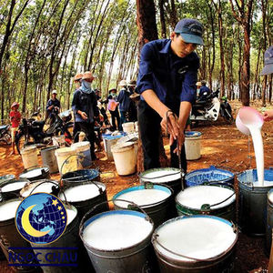 Latex liquide et concentré de haute qualité, naturel, provenant d'un fabricant vietnamien, certifié FSC, à bon prix, faible teneur en nitrosamines - Product Image 5