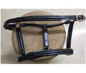 Cabestro de Cuero Genuino Acolchado con Costuras Blancas y Adorno de Piedra, Personalizable con Cobertura, Disponible en Todos los Tamaños - Product Image 1