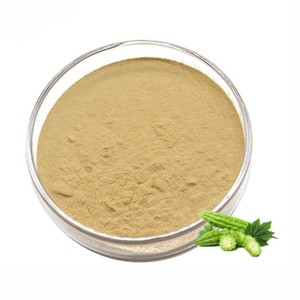 Polvo de Melón Amargo 100% Puro y Natural al por Mayor, Polvo de Momordica Charantia de Alta Calidad de la India - Product Image 1