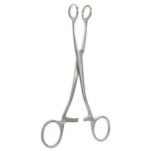 Top Quality Collin Tongue Forceps Stainless Steel Organ Holding Grasping Forceps Tongue CE Approved By <b>Blush</b> Surgical - Product Image 3