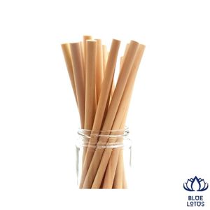 Pajitas de Bambú Reutilizables Ecológicas de Alta Calidad, Muy Vendidas, Altamente Recomendadas, Juego de Pajitas Biodegradables para Beber, Venta al por Mayor - Product Image 1