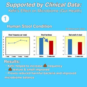 Culture démarreur probiotique kéfir naturelle fabriquée au Japon pour la digestion, côlon sain - Product Image 4