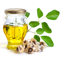 Moringa <b>Oil</b> 5 KG Pure & Natural with High Quality Manufacturer <b>Essential</b> <b>Oil</b> Bulk Supplier and Export from India at Bulk Price - Product Image 2