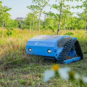 Cortadora de Césped Eléctrica Inalámbrica KH-LM2421 con Batería de Litio, Control Remoto, Bajo Ruido, Alta Eficiencia - Product Image 3